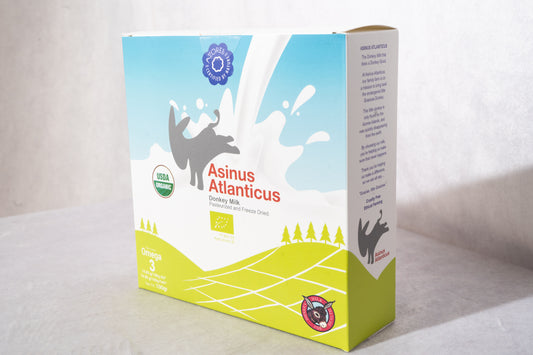 Asinus Atlanticus